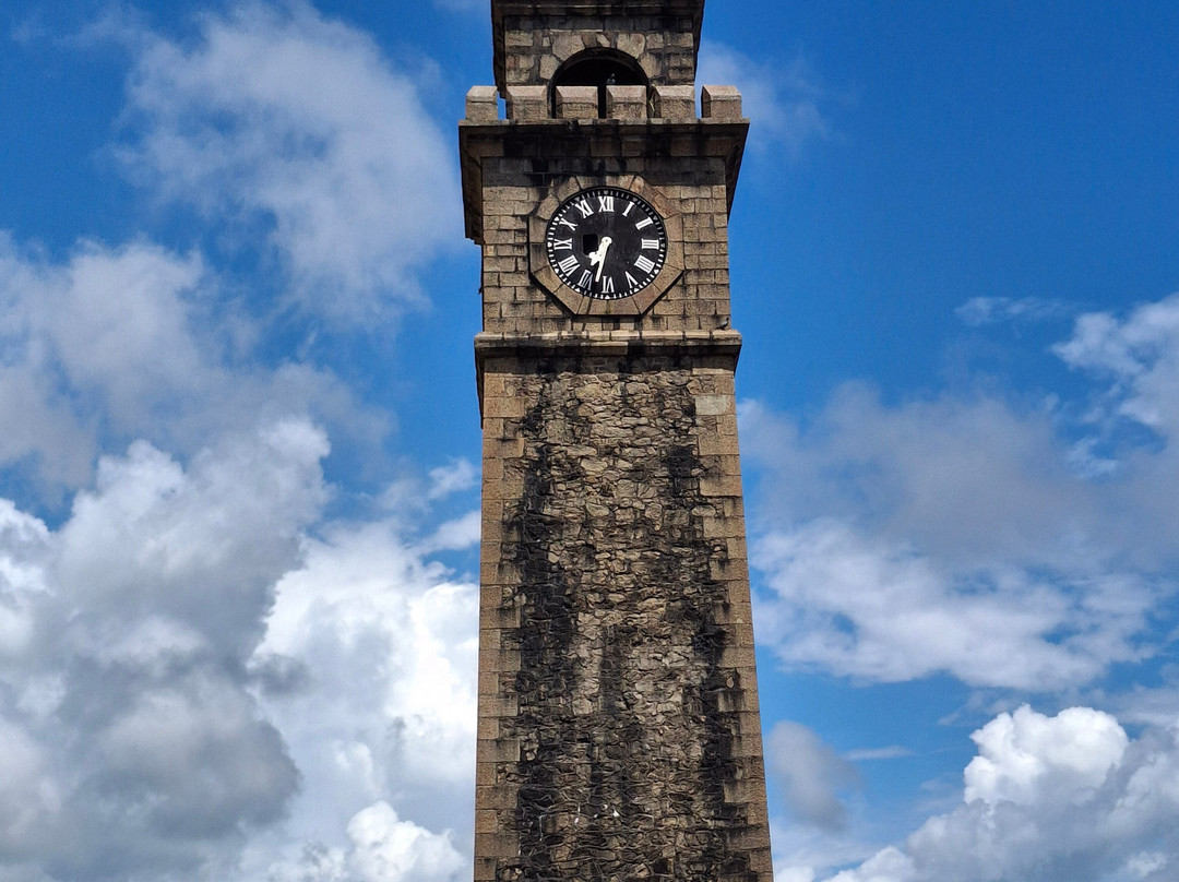 ශ්‍ Экскурсии и туры по Шри-Ланке на русском ලං «ШриЛанкаРус»-加勒必去景点