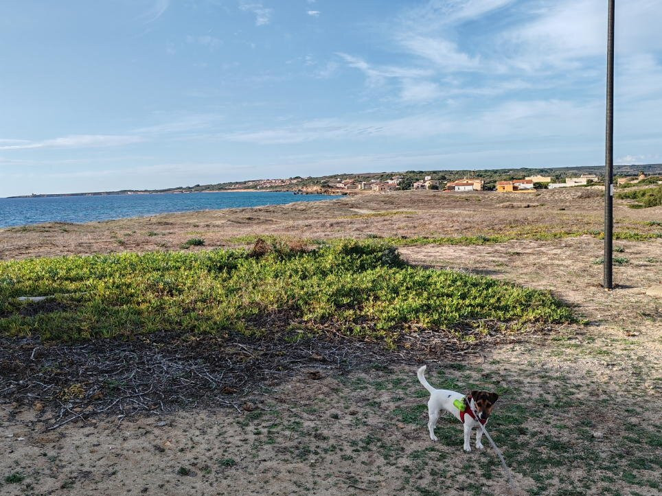 Spiaggia Di Capo San Marco-卡布拉斯必去景点