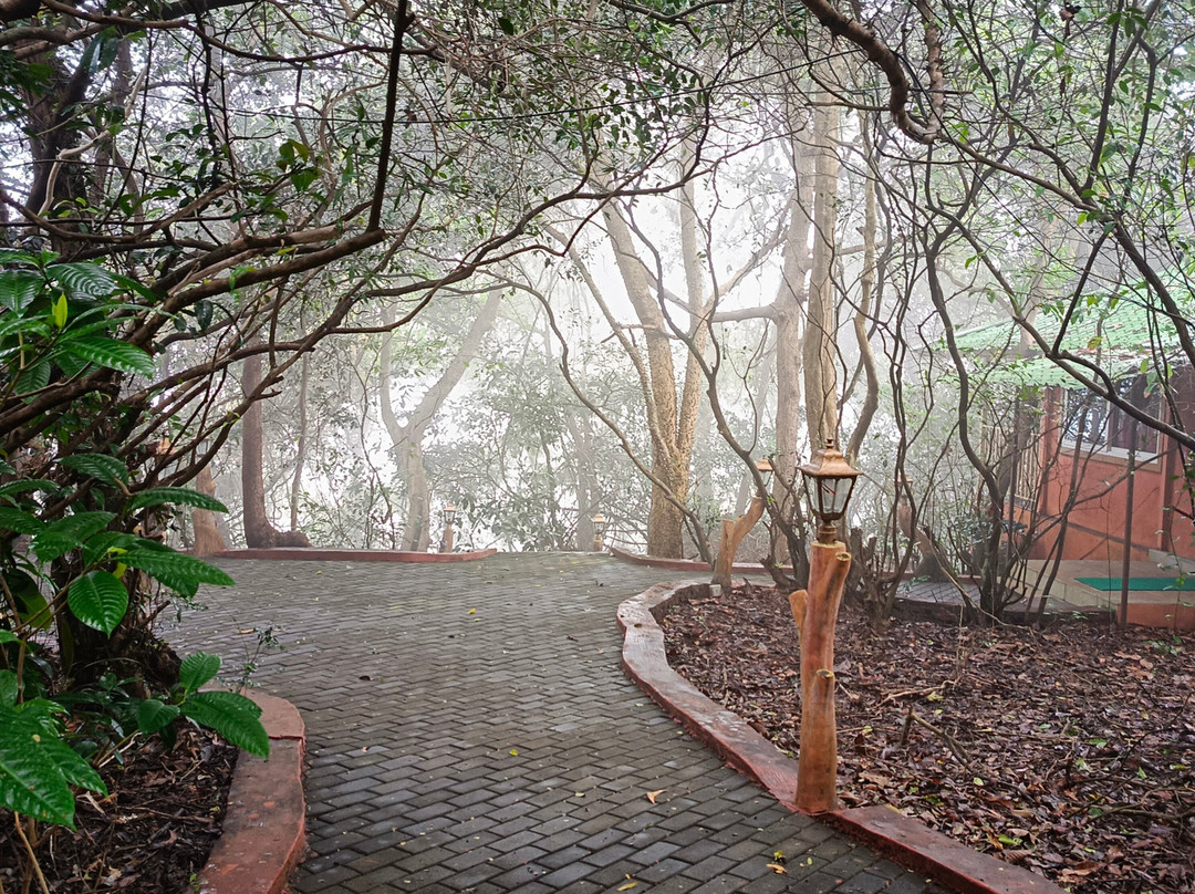 Treebo Trend Rock Valley主图