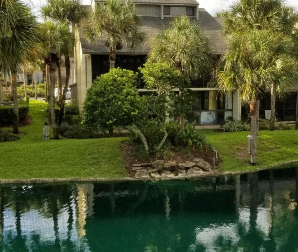 Very Tropical