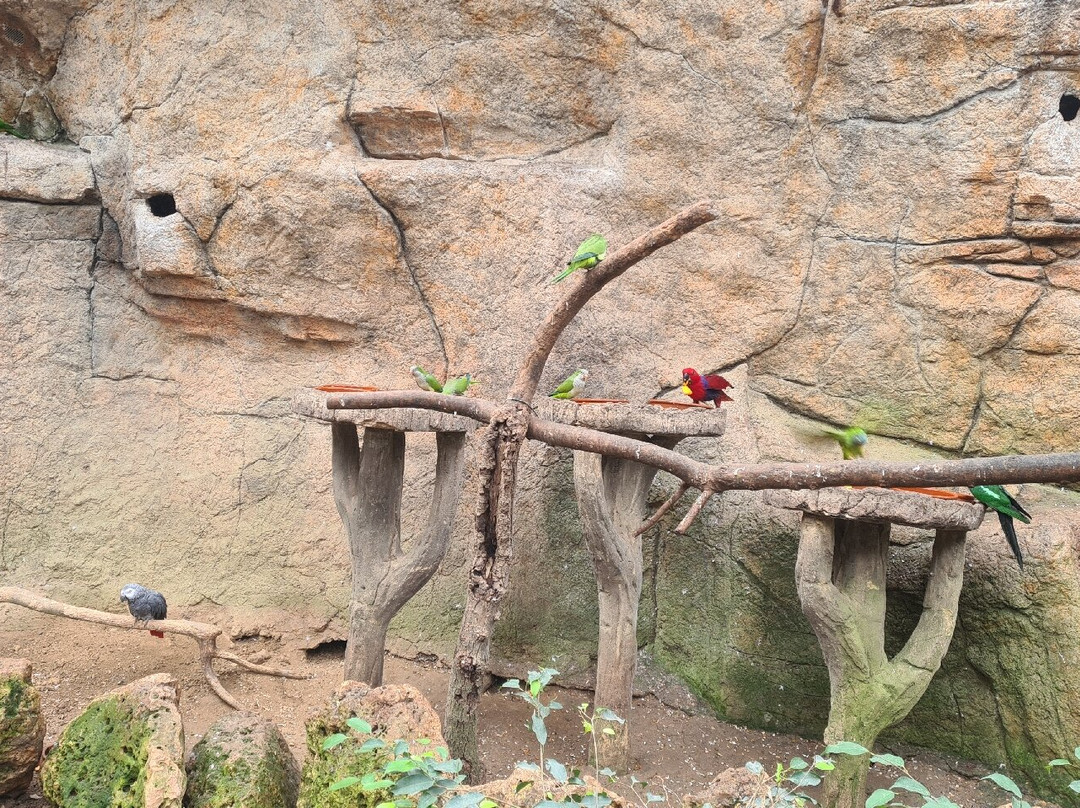 Butterfly Park Empuriabrava景点图片