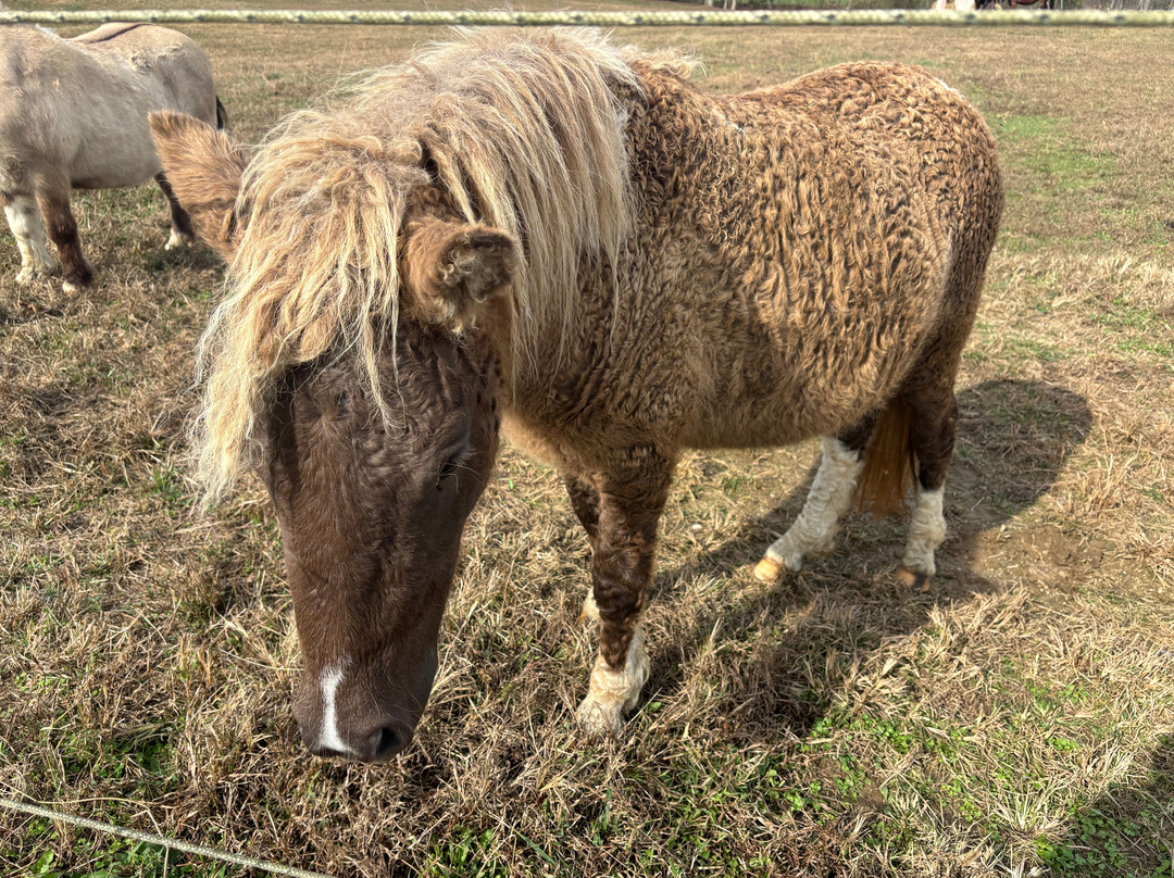 Hidden Cave Ranch主图