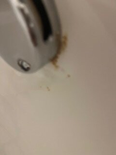 Holiday Inn Express & Suites Lansing-dimondale By IHG主图