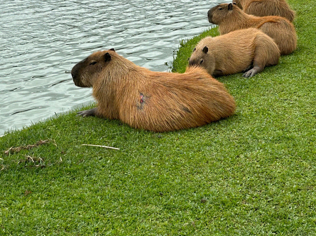 库里提巴品质酒店主图