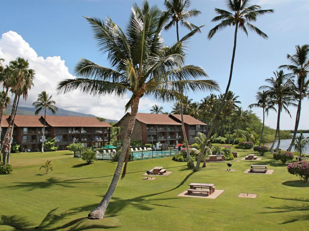 摩洛凯岛酒店住宿-Hotel Moloka'i