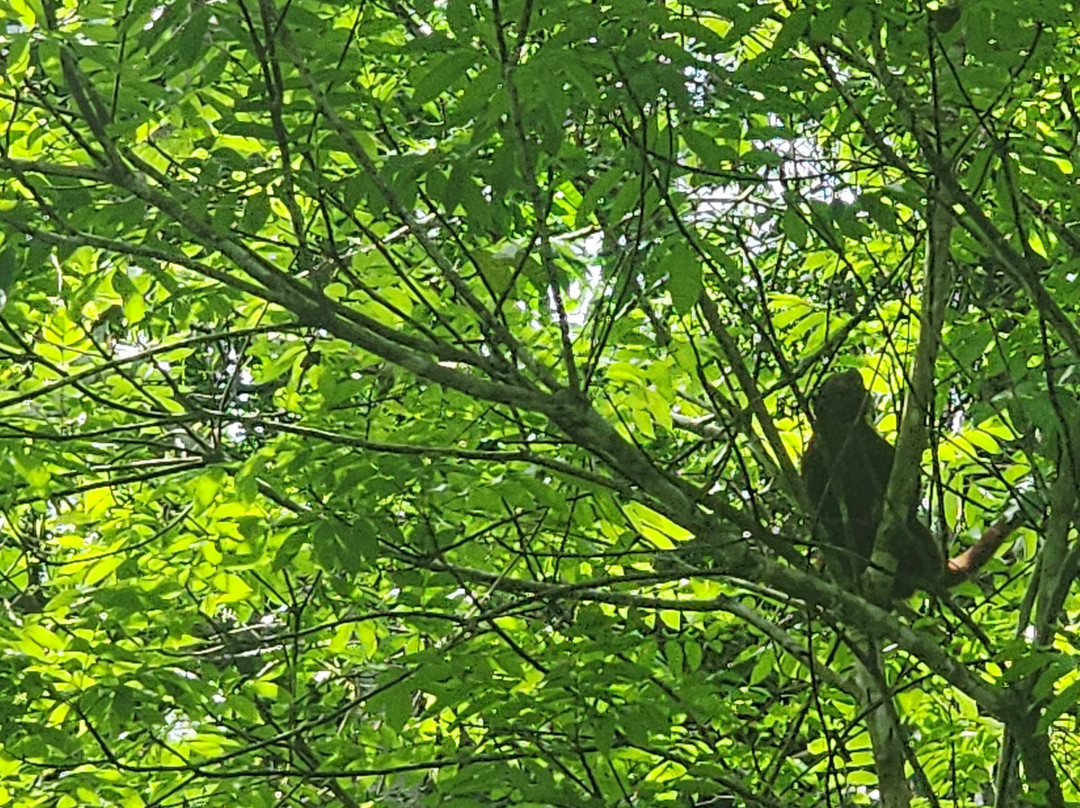 Sandoval Lake Lodge主图