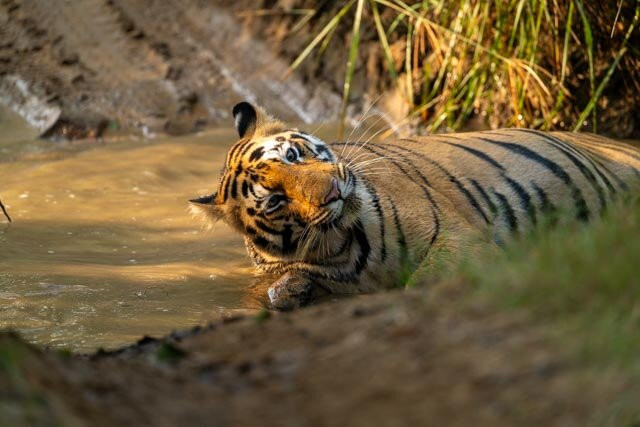 Excellent Stay At Mall主图