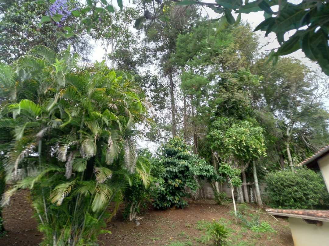 Pousada da Figueira主图