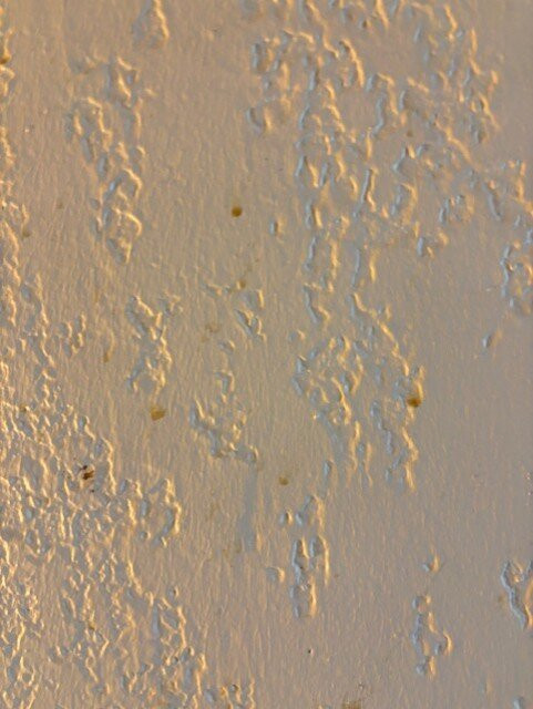 Ramada by Wyndham Lethbridge主图