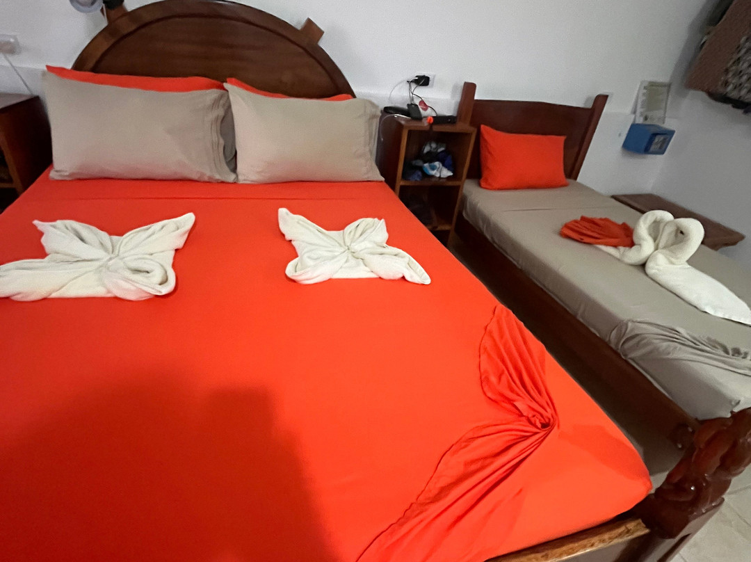 Drake Bay Wilderness Resort主图