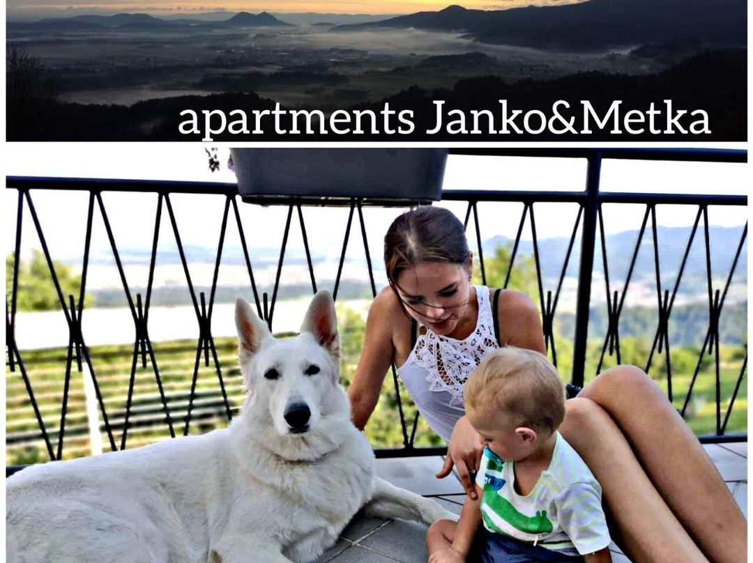 Apartma pri Bostjanu