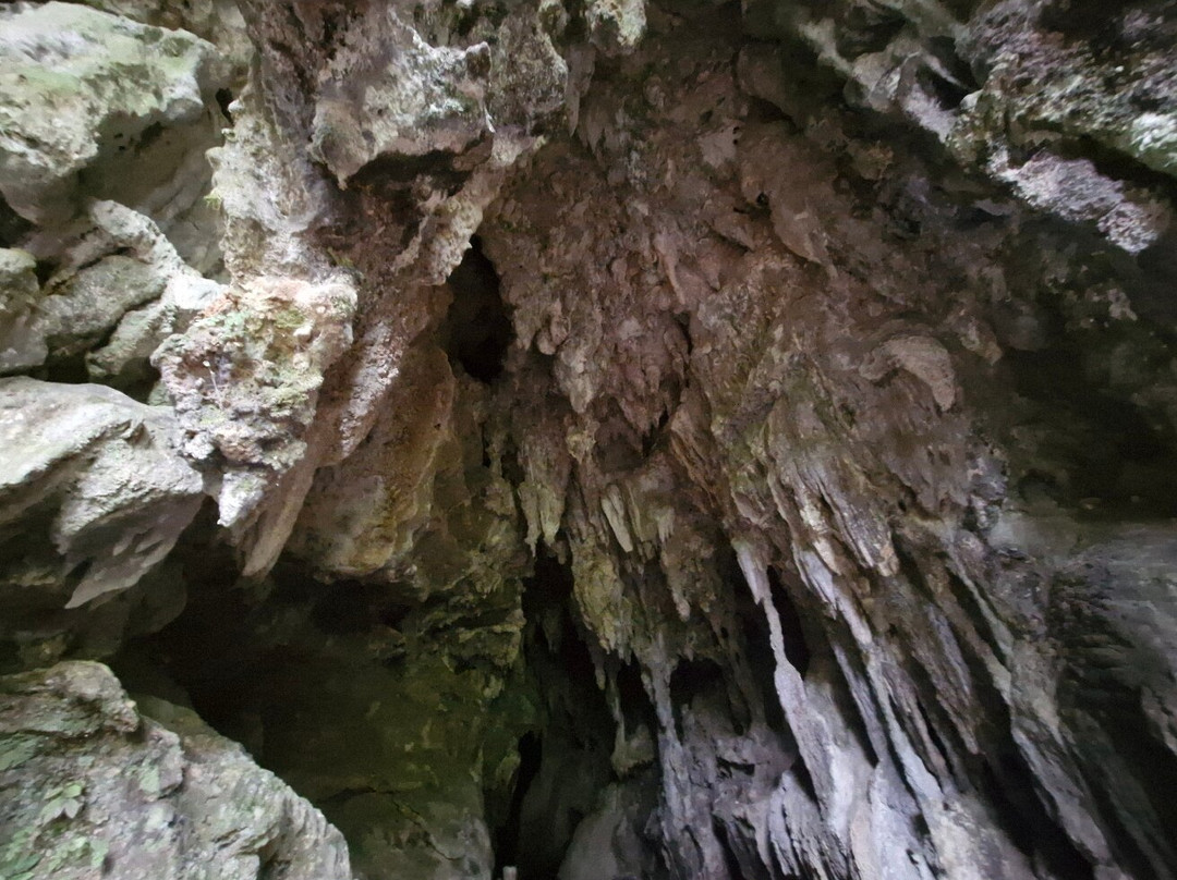 Kawiti Glow Worm Caves景点图片