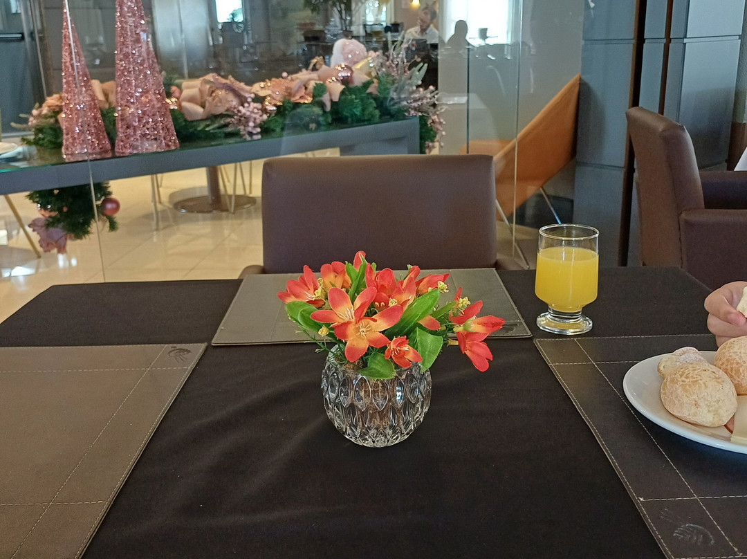 Hotel Araucária Plaza主图