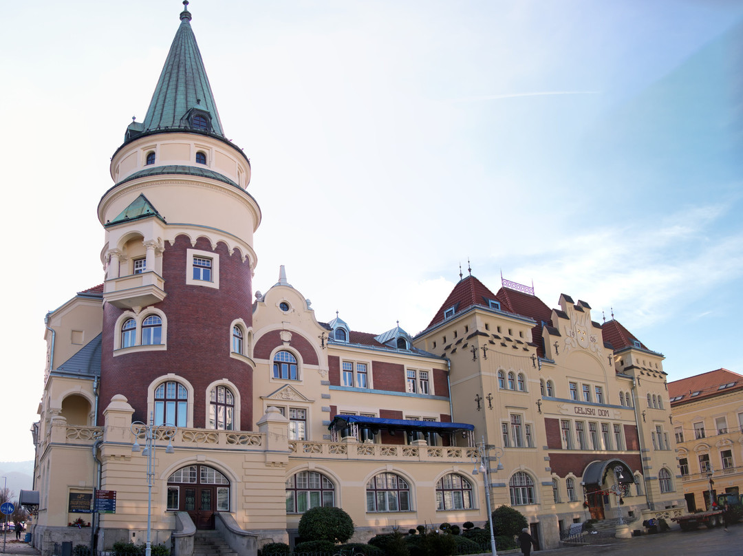 Celje Hall