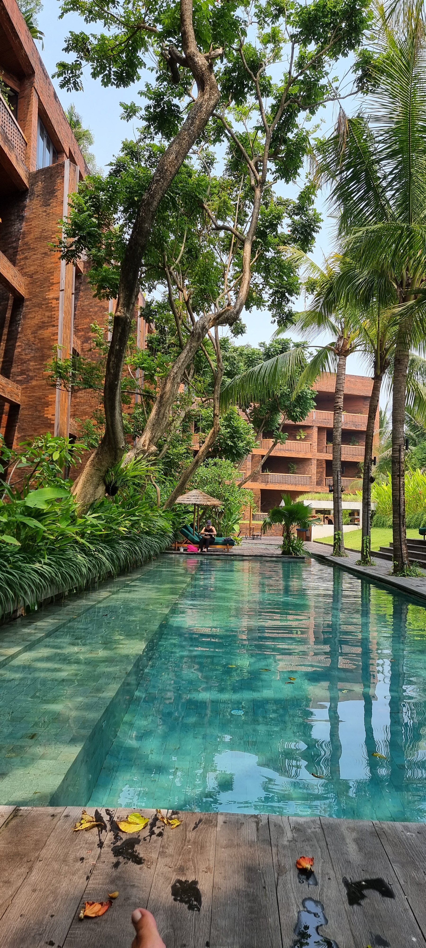 Potato Head Suites & Studios-泳池