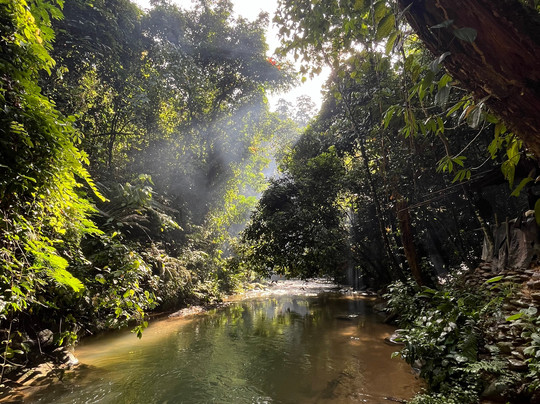 Adventure Orangutan Wildlife-棉兰必去景点
