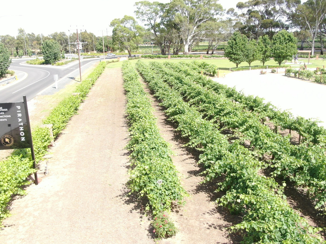 Pirathon Cellar Door-塔努达必去景点