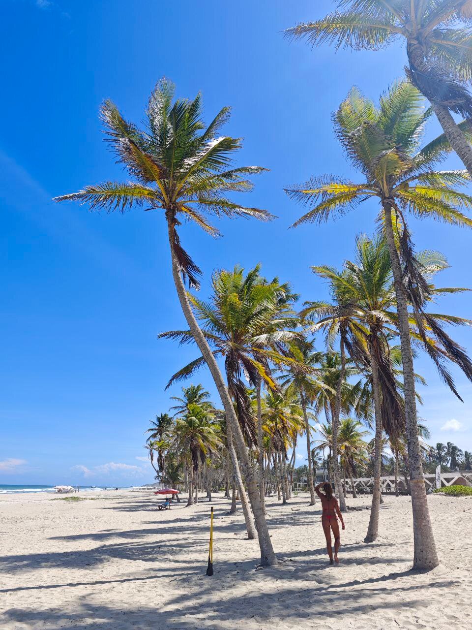 LD Plus Palm Beach-泳池