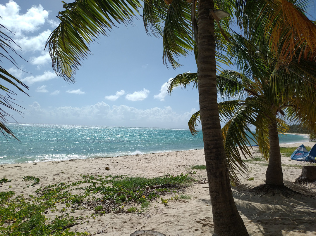 Feuillere Beach-Capesterre必去景点