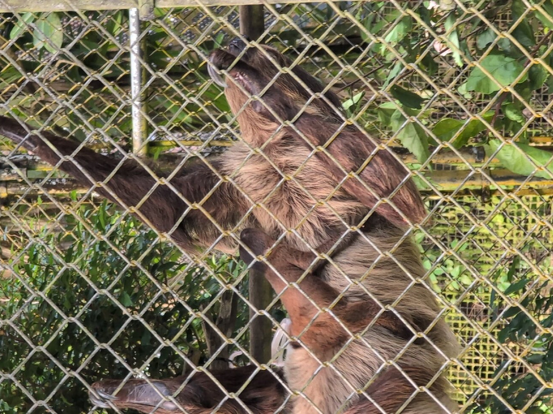 帕奈瓦热带雨林动物园-希洛必去景点