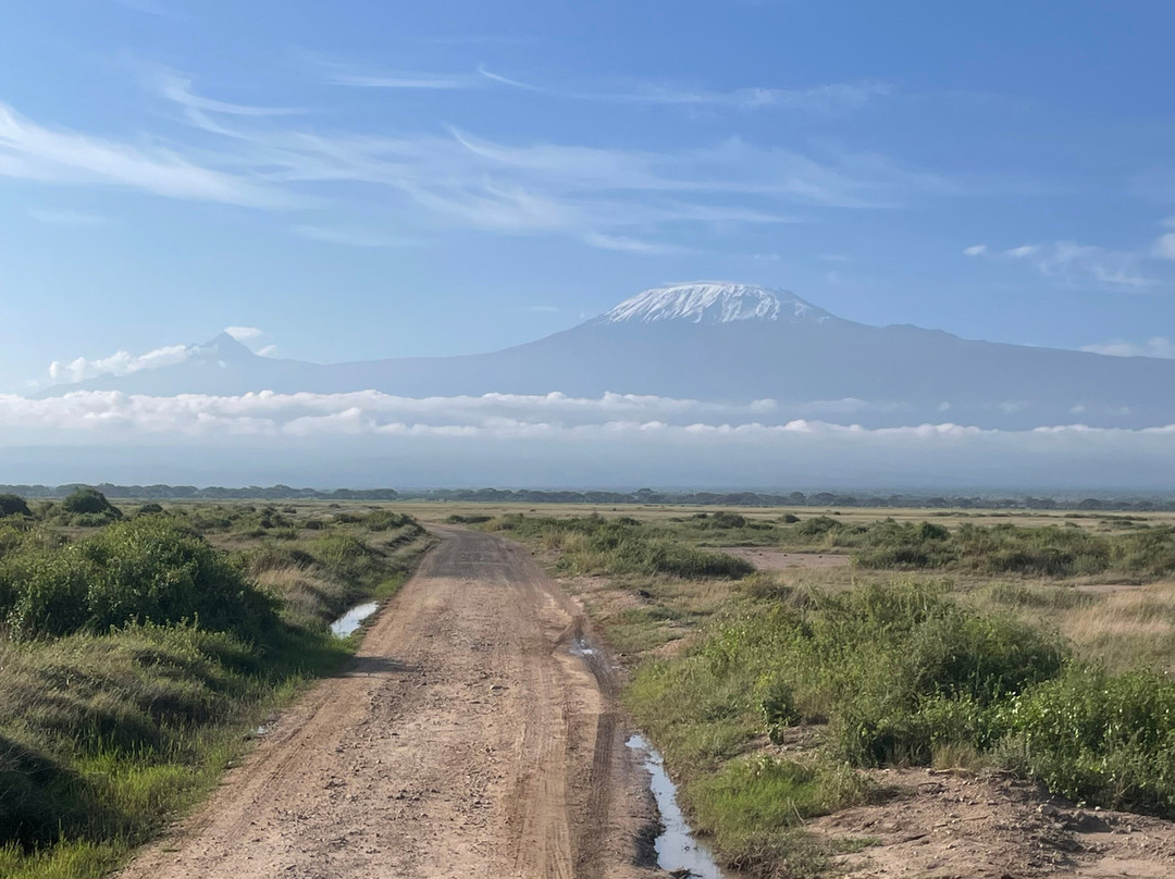 Maasai Safari & Cultural Tours景点图片