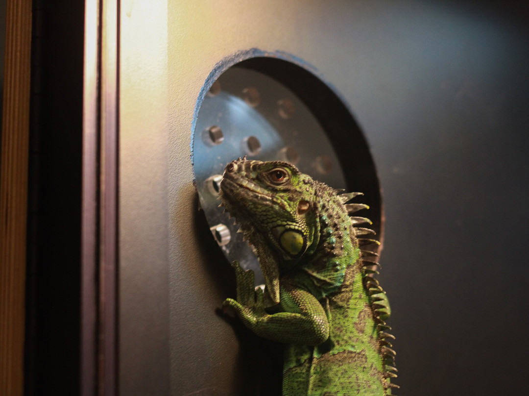 Don Harrington Discovery Center-阿马里洛必去景点