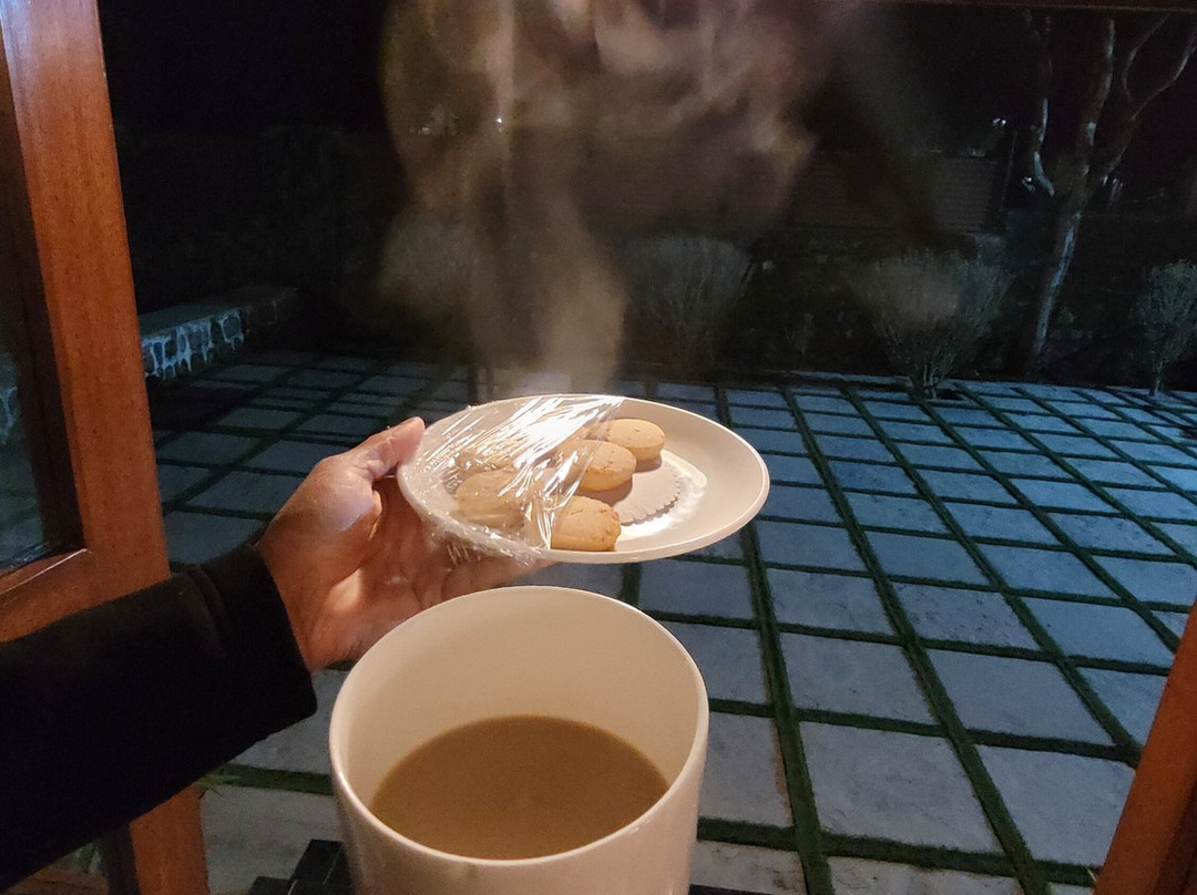 维克拉姆典雅酒店主图