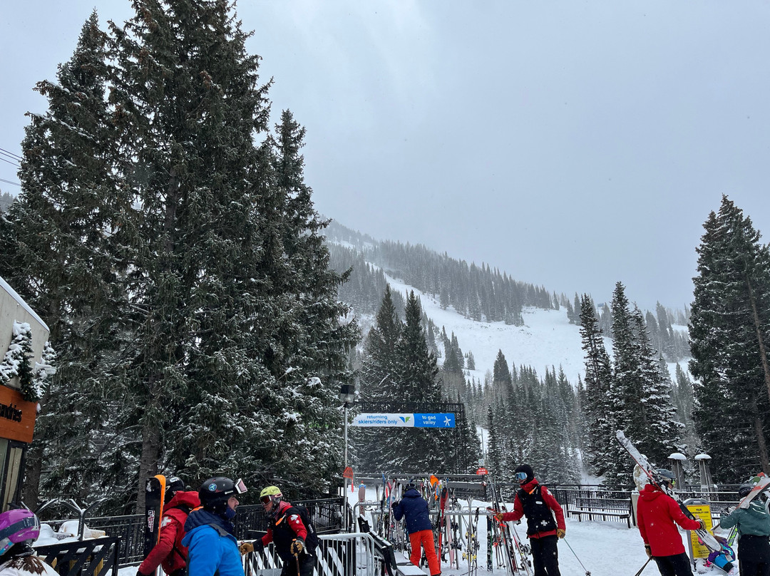 Snowbird-Snowbird必去景点