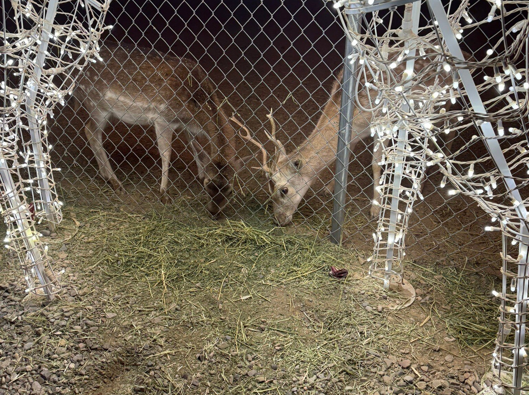 Schnepf Farms-Queen Creek必去景点