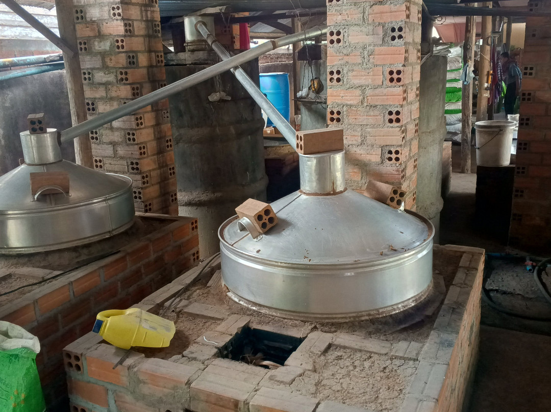 Battambang Tour Lychee-马德望必去景点