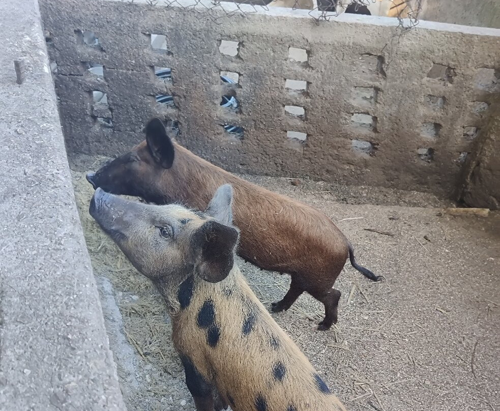 Hostal Finca La Esperanza主图