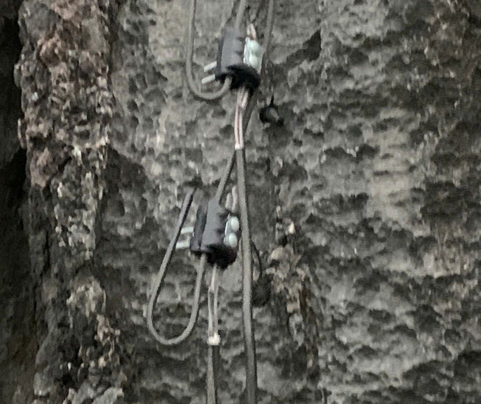 Indochine Junk-卡巴必去景点