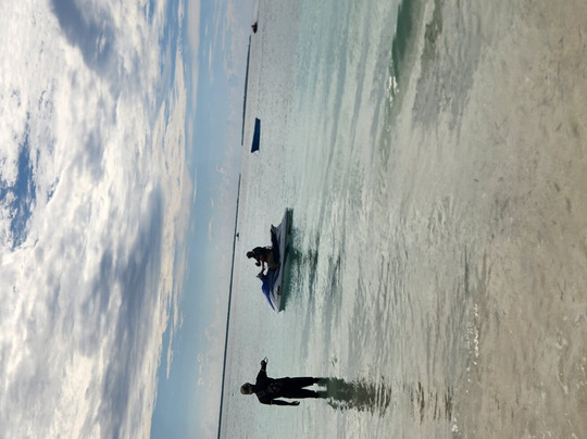 Mody Zanzibar Tours & Safaris-石头城必去景点