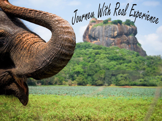 Evergreen Voyage-Ja Ela必去景点