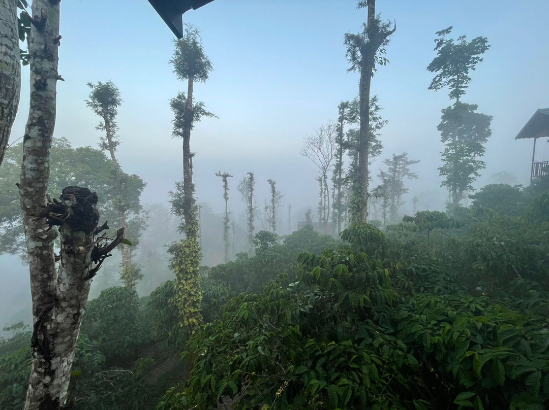 Coffee County Resort主图