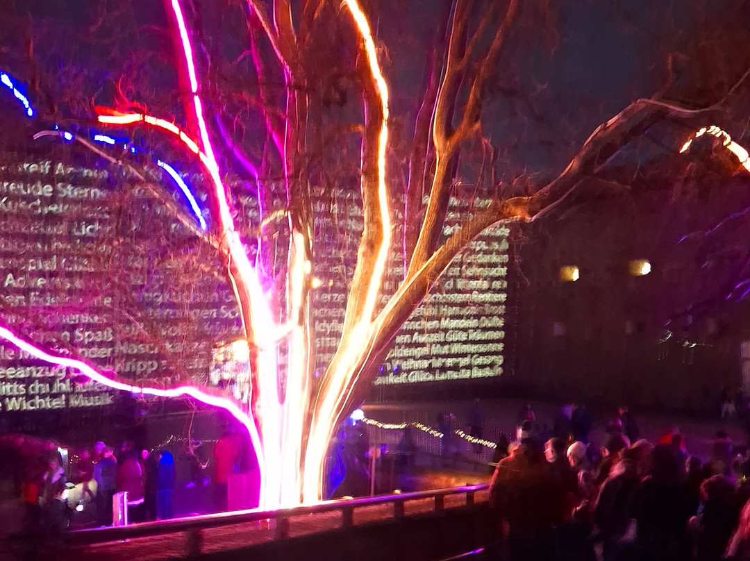 Christmas Garden Koblenz景点图片