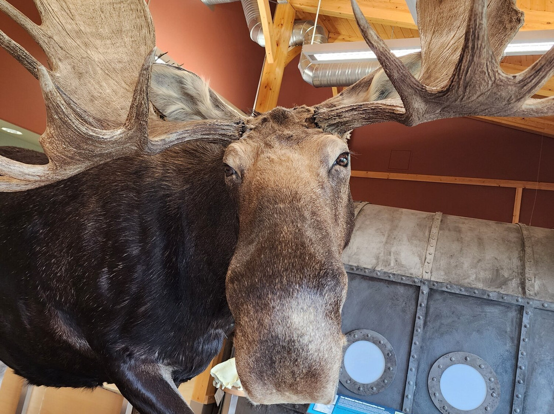 Red Rock Marina Centre-Red Rock必去景点