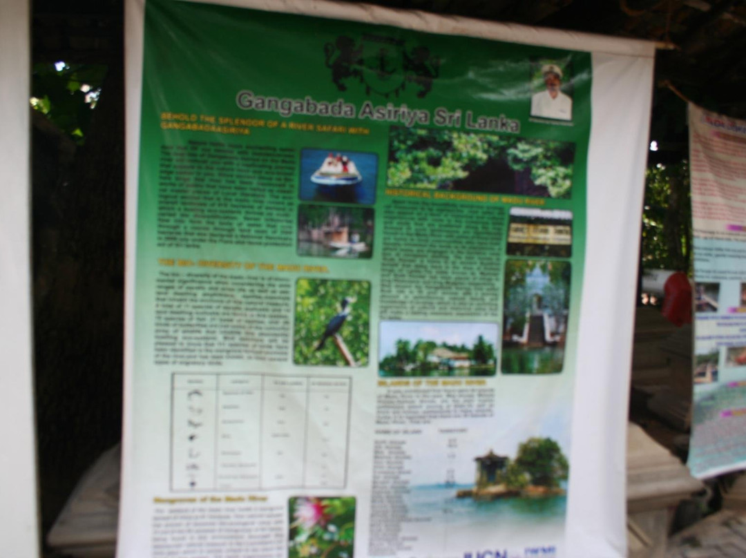 Madu River Safari by Buddhi-巴拉碧提雅必去景点