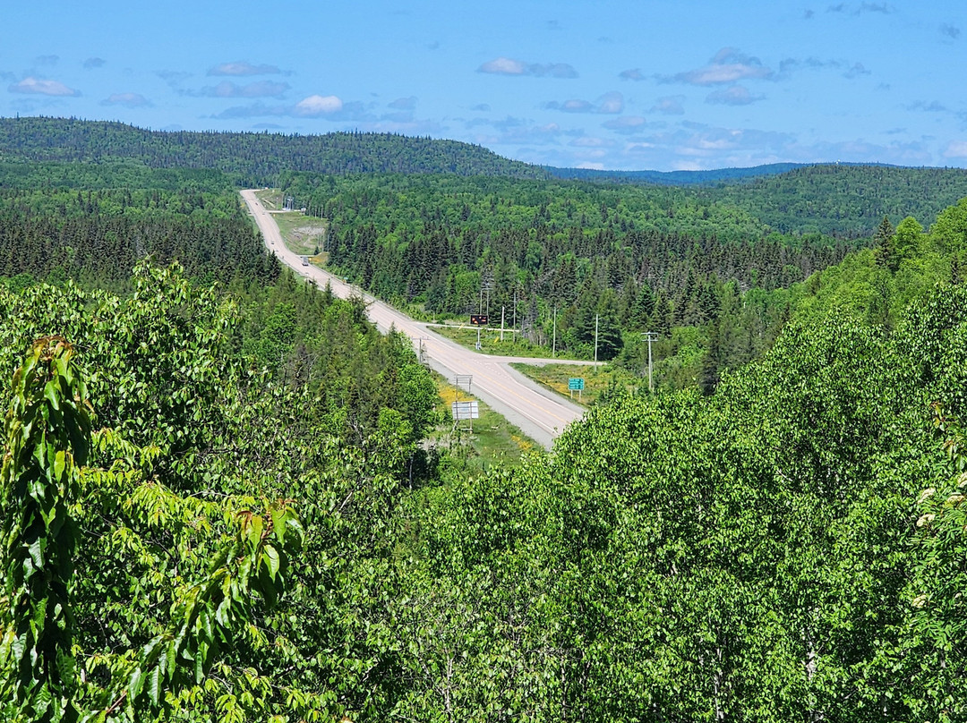 Wawa Goose Statue-Wawa必去景点