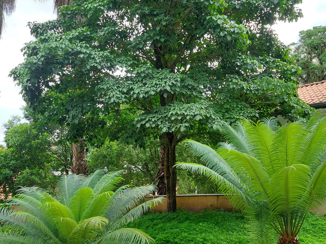 Ls Villas Hotel & Spa主图