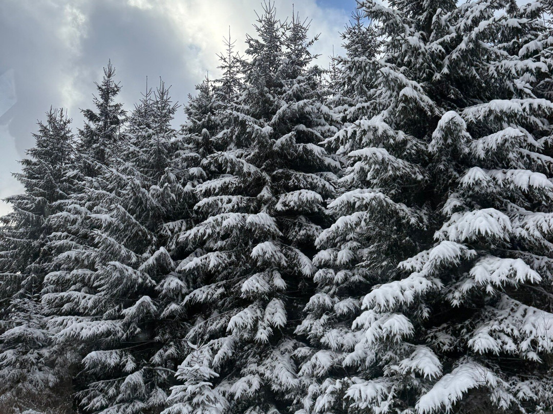 4Travellers-克拉科夫必去景点