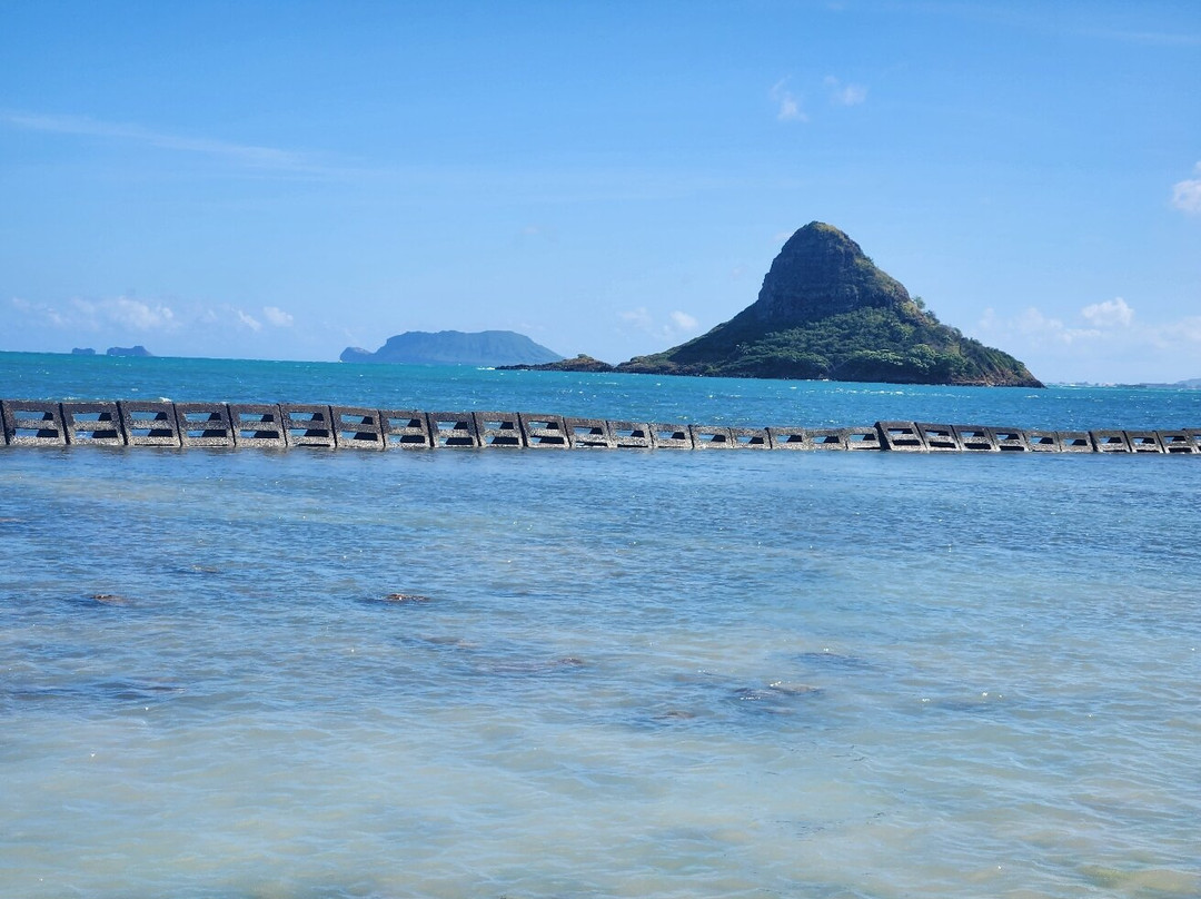 Private Tours Hawaii-火奴鲁鲁必去景点