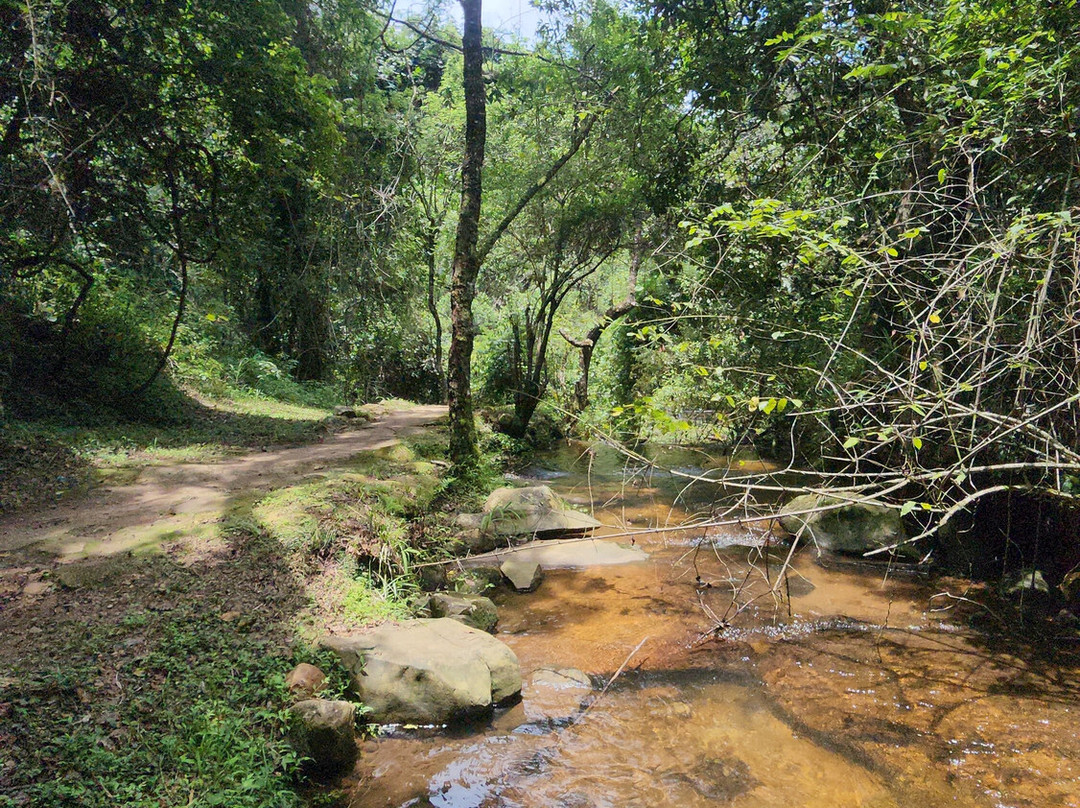 Debengeni Waterfall-参宁必去景点