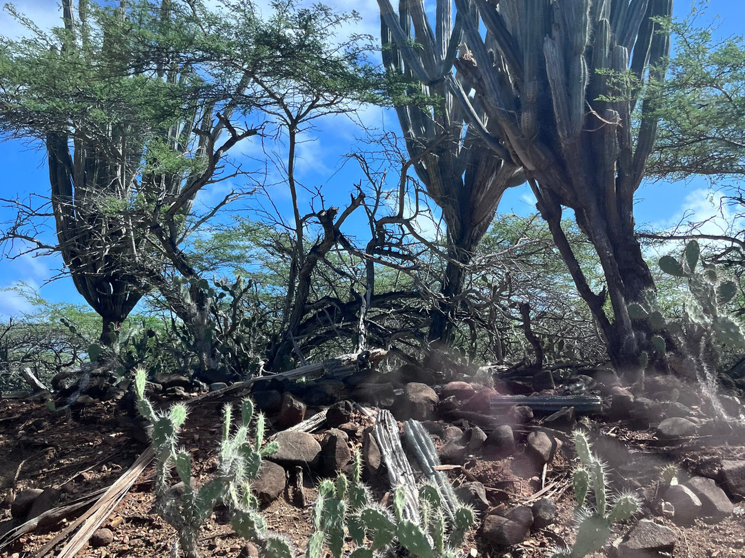 Washington Slagbaai National Park-Rincon必去景点
