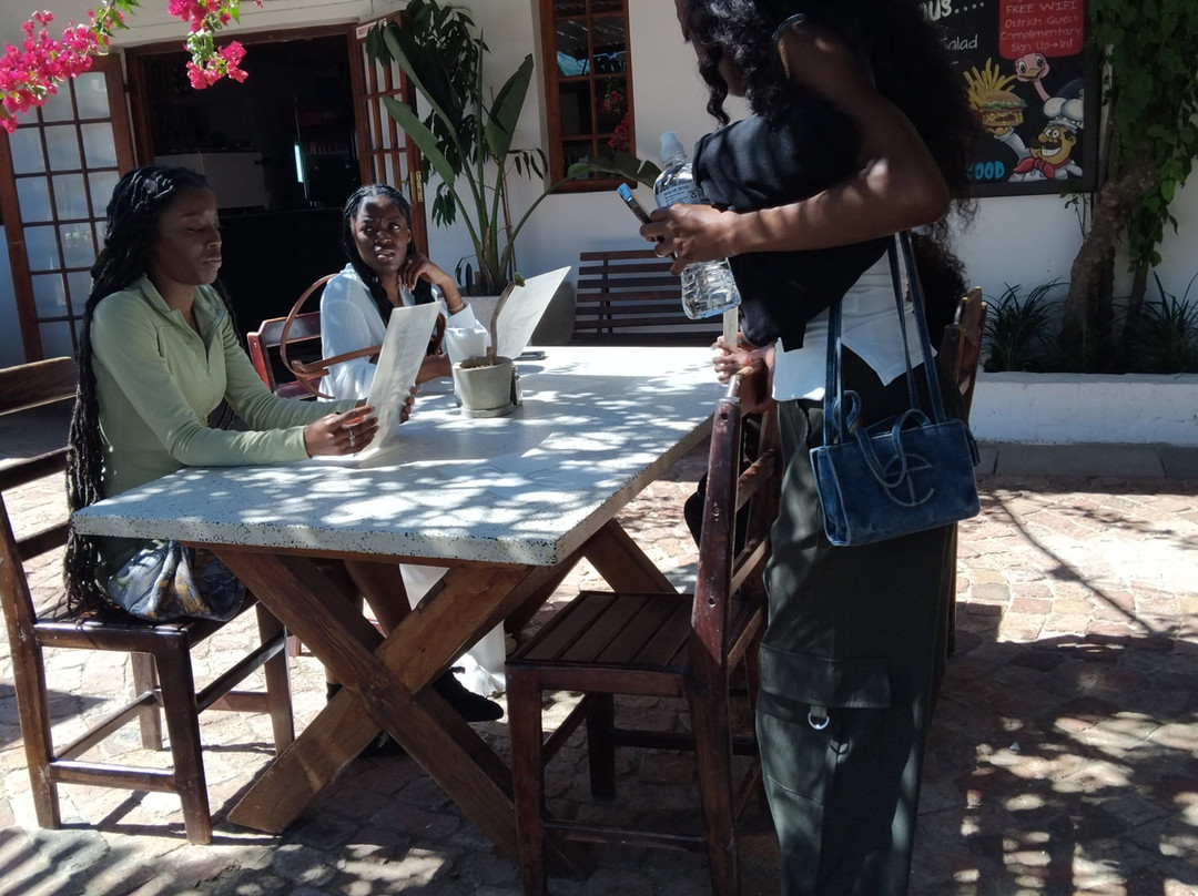 Cape Town Ostrich Ranch-开普敦中心区必去景点