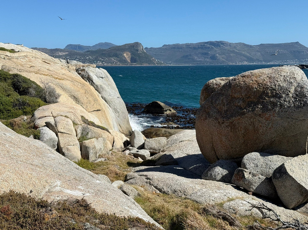 Airport Hopper Tours & Transfers