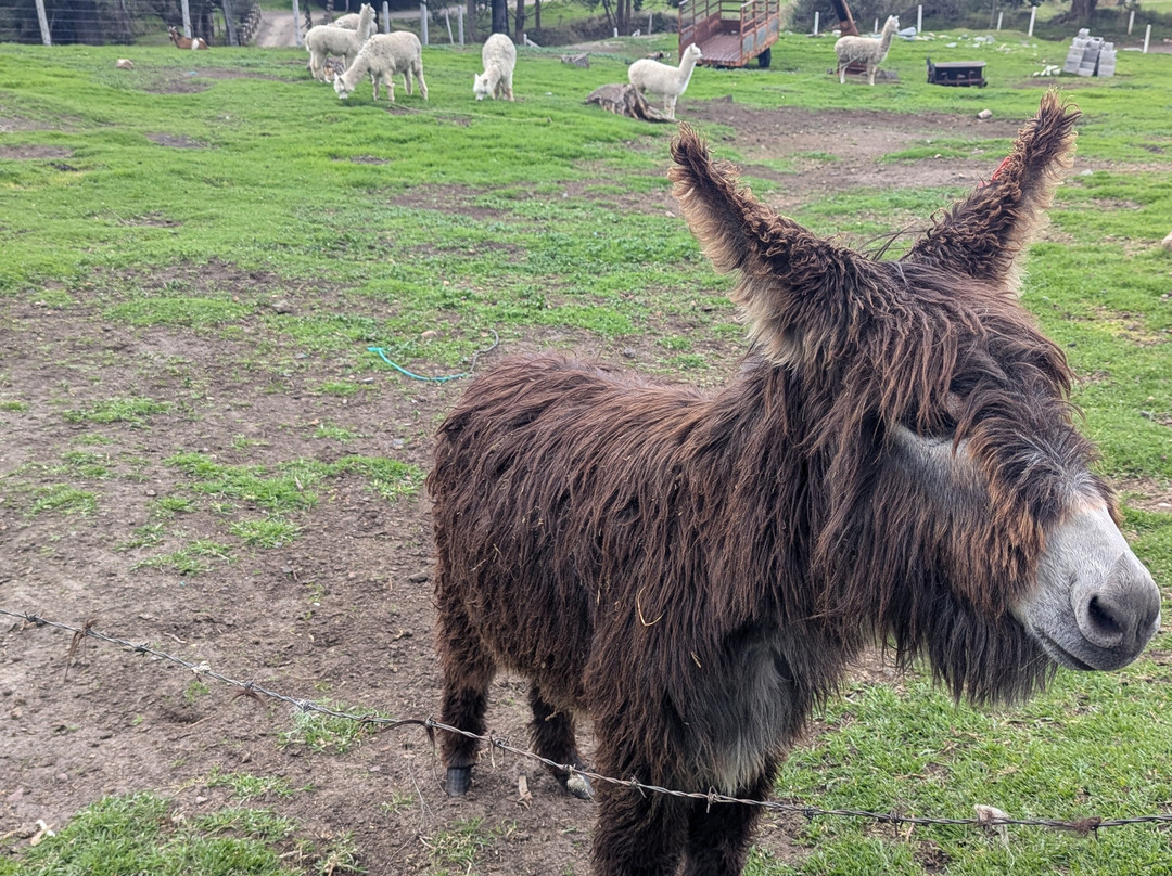 Posada De Tigua主图
