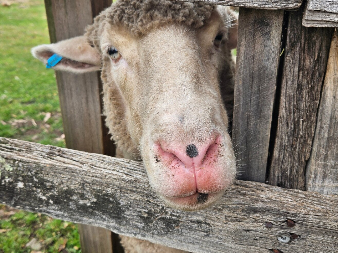 28 gates Luxury Farmstay and Fishery主图