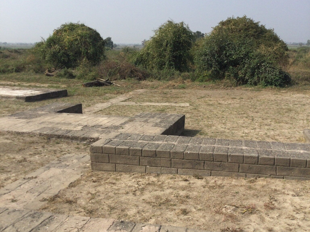 Lothal-Dholka必去景点