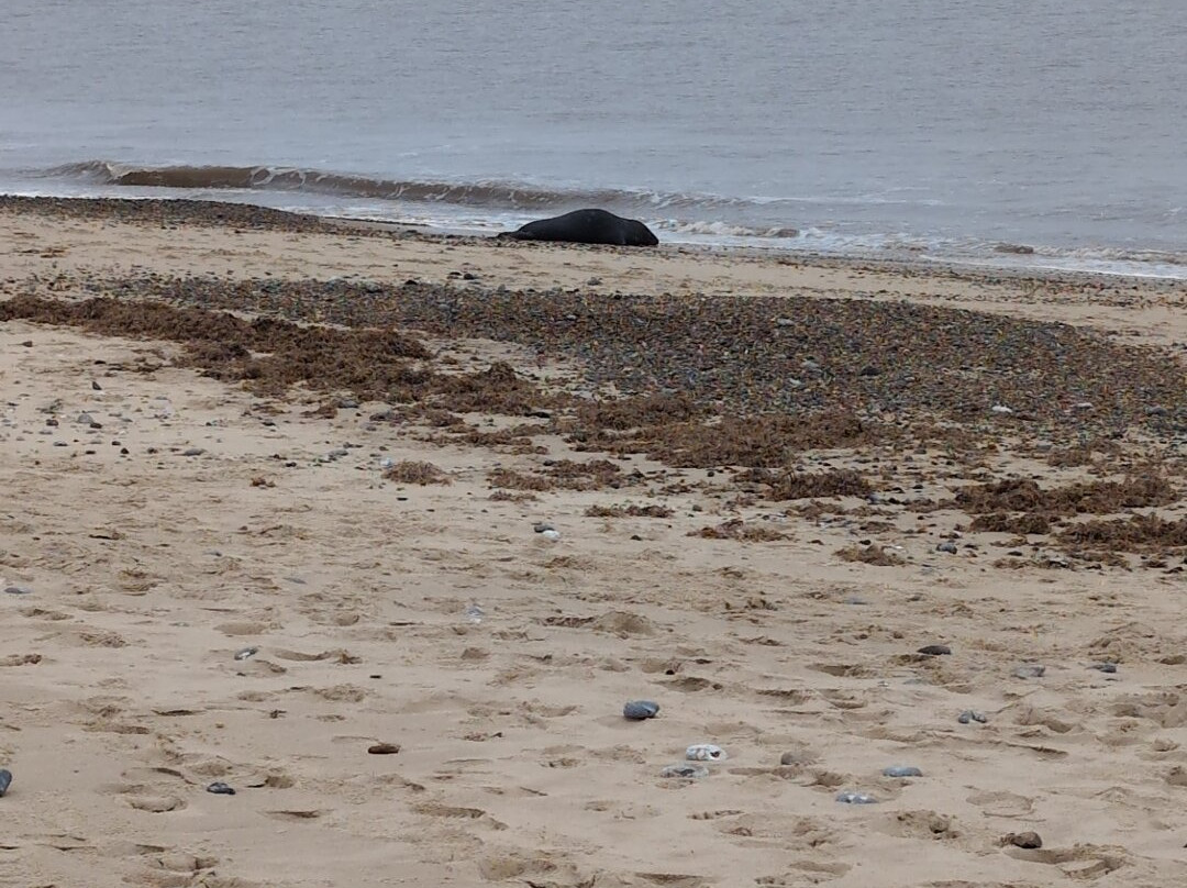 Winterton Dunes-Winterton-on-Sea必去景点